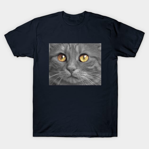 Yellow eyed cat T-Shirt by Sinmara